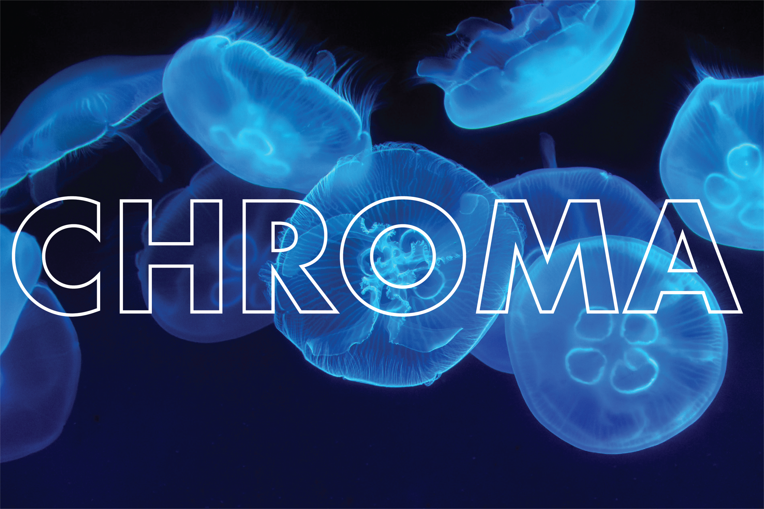 CHROMA — HI, I'M ALEXYS